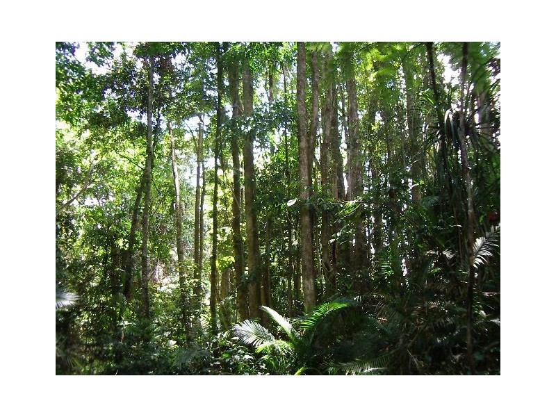 Upper Daradgee QLD 4860