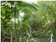 Bombeeta QLD 4871