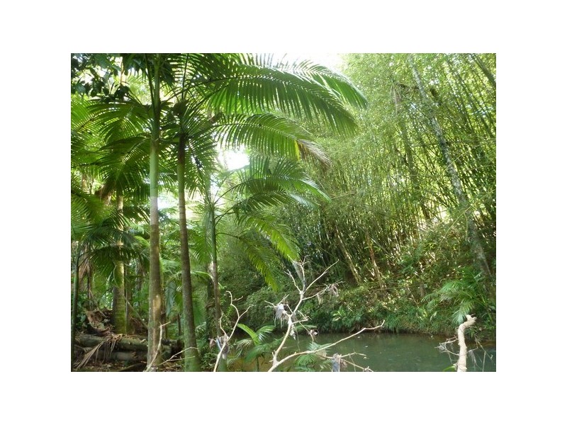 Bombeeta QLD 4871