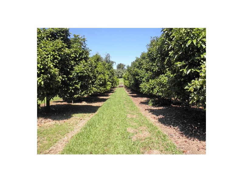 Upper Daradgee QLD 4860