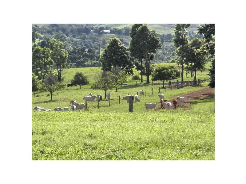 Upper Daradgee QLD 4860