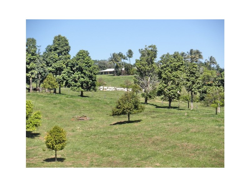 Upper Daradgee QLD 4860