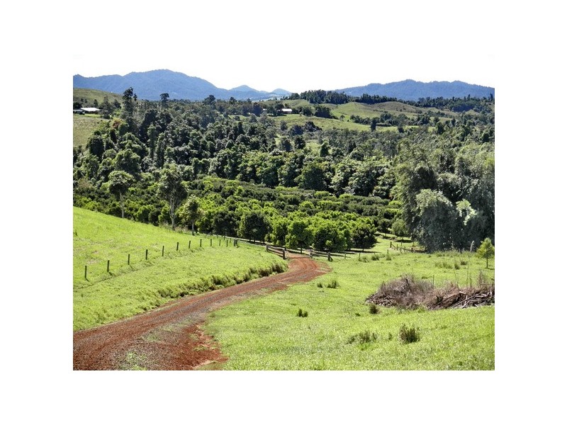 Upper Daradgee QLD 4860