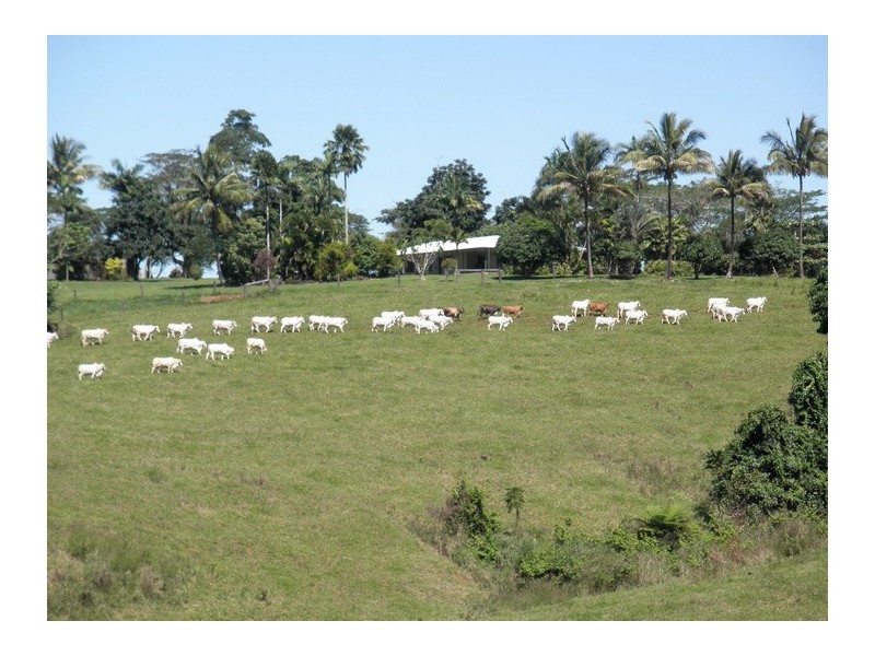 Upper Daradgee QLD 4860