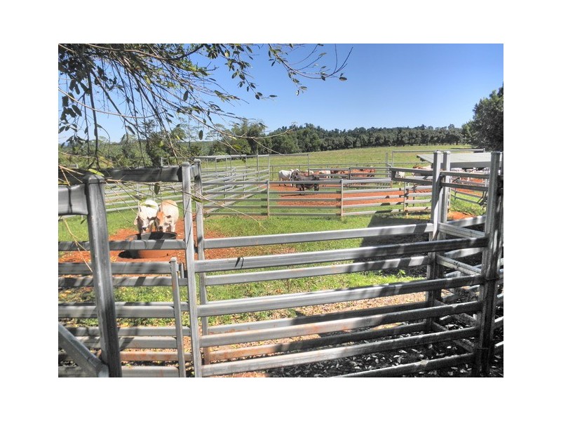 Upper Daradgee QLD 4860