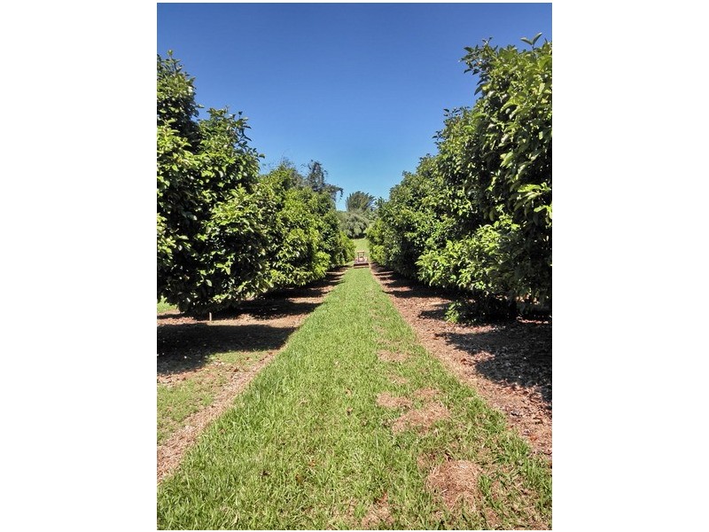 Upper Daradgee QLD 4860