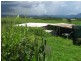 Innisfail QLD 4860