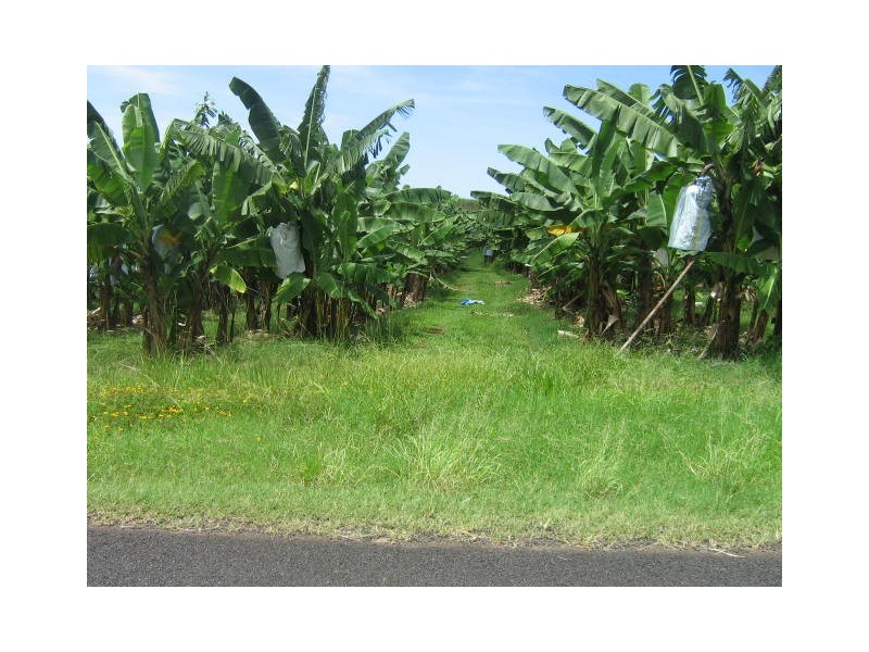 Innisfail QLD 4860