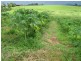 Innisfail QLD 4860
