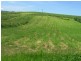 Innisfail QLD 4860