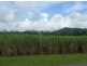 El Arish QLD 4855