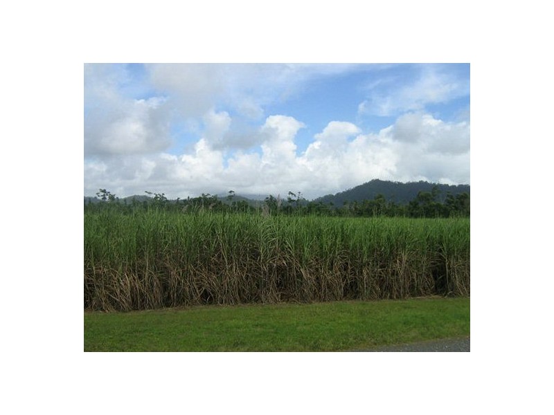 El Arish QLD 4855