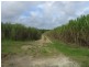 El Arish QLD 4855