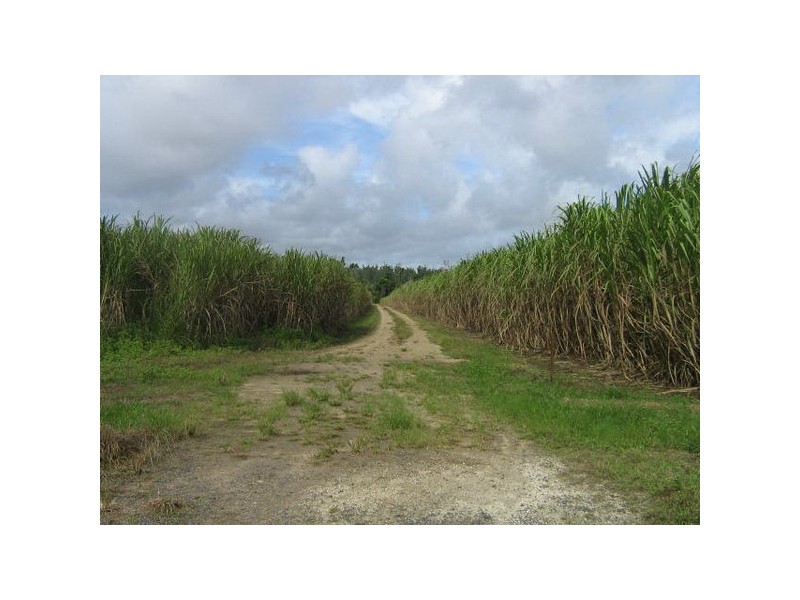 El Arish QLD 4855