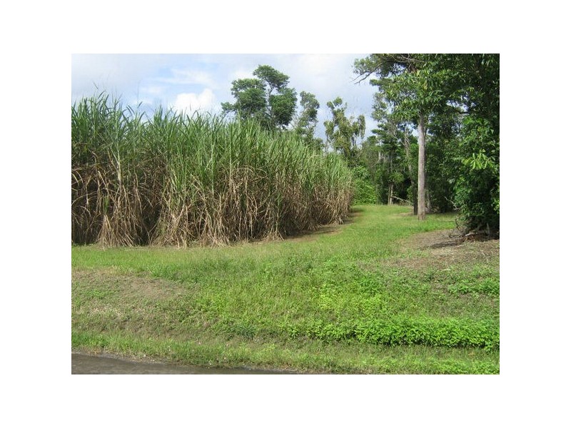 El Arish QLD 4855