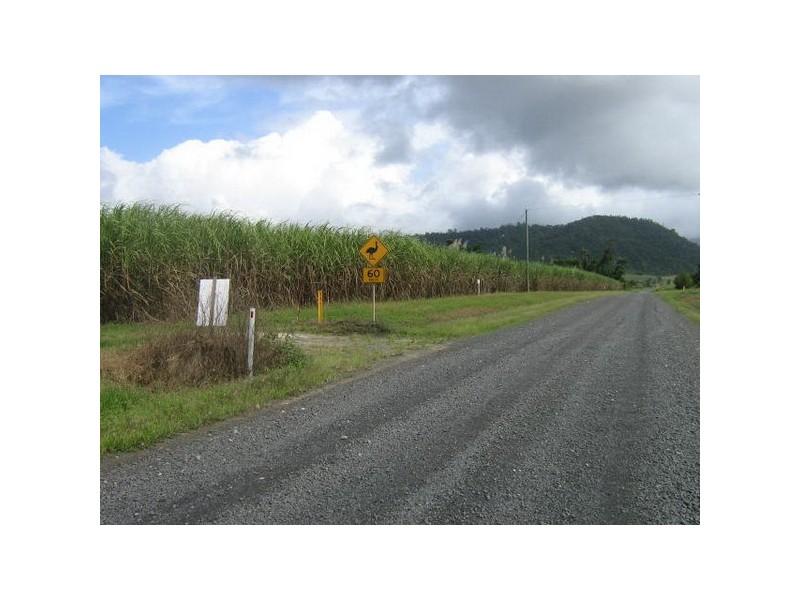 El Arish QLD 4855