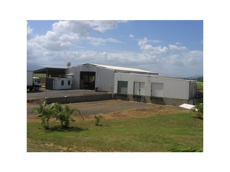 Innisfail QLD 4860