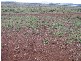 Cowley QLD 4871