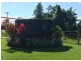 Innisfail QLD 4860