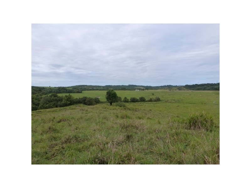 Waugh Pocket QLD 4871