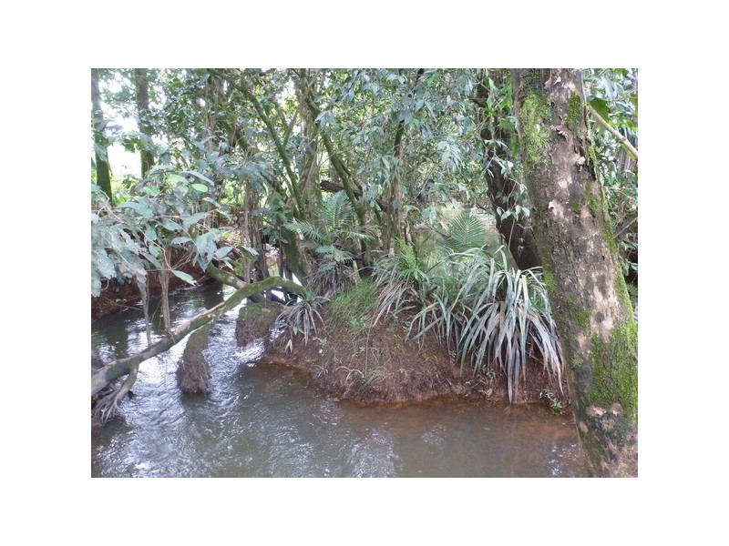 Waugh Pocket QLD 4871