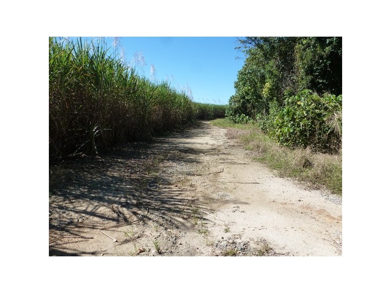 Silkwood QLD 4856