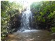 Millaa Millaa QLD 4886