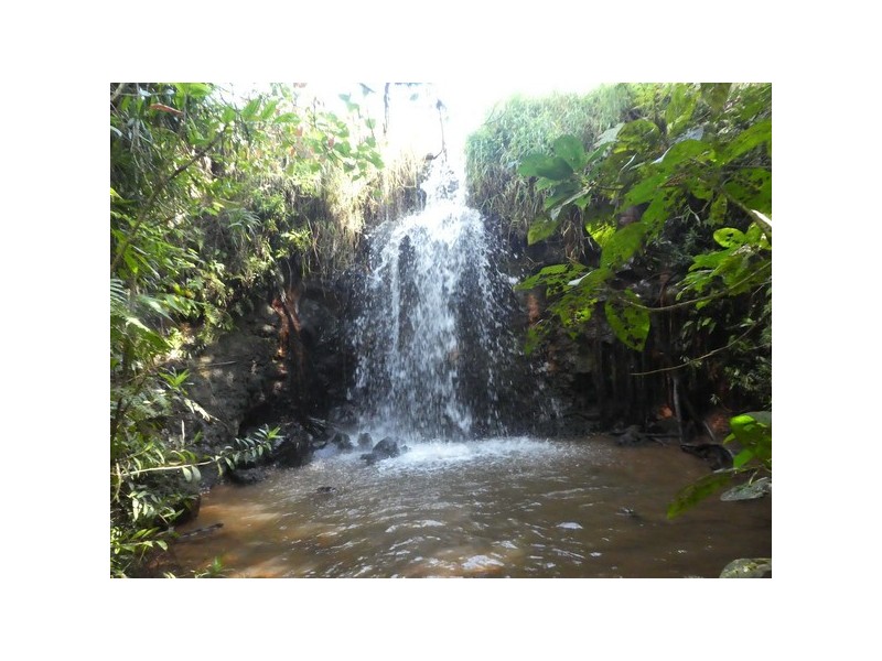 Millaa Millaa QLD 4886