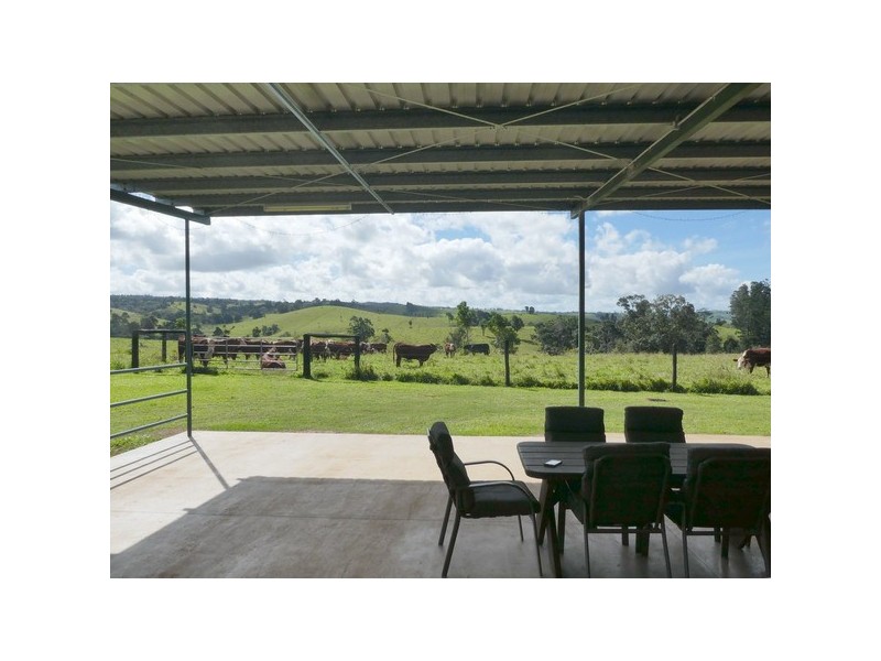 Millaa Millaa QLD 4886