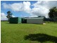 Millaa Millaa QLD 4886