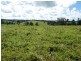 Millaa Millaa QLD 4886