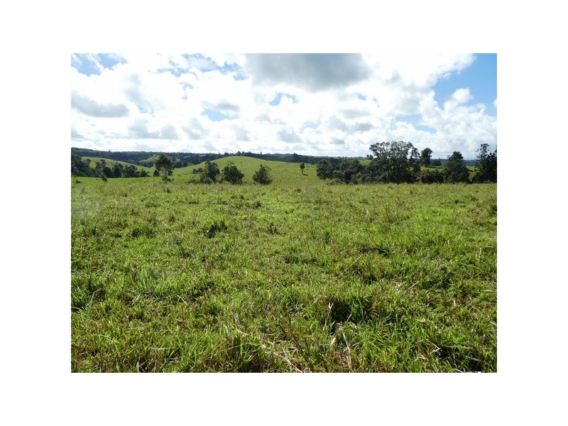 Millaa Millaa QLD 4886