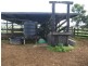 Millaa Millaa QLD 4886