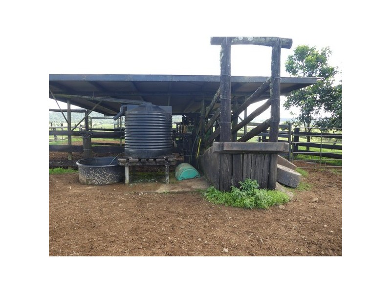 Millaa Millaa QLD 4886