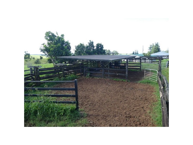 Millaa Millaa QLD 4886