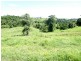 Innisfail QLD 4860