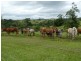 Innisfail QLD 4860