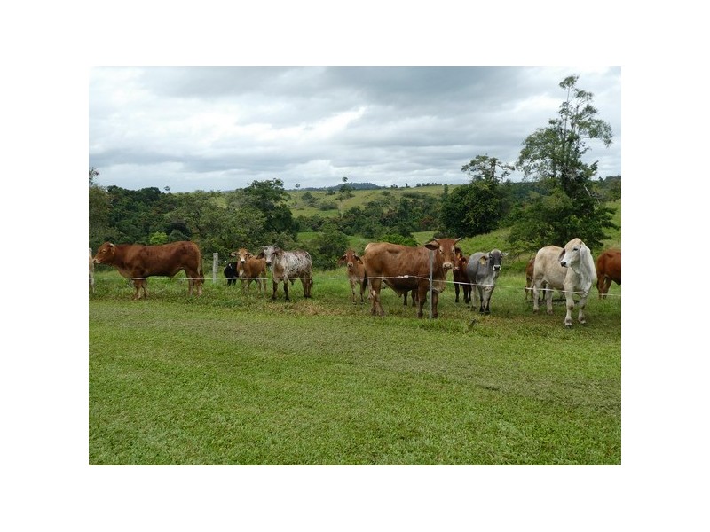 Innisfail QLD 4860
