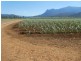 Bartle Frere QLD 4861