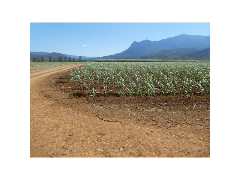 Bartle Frere QLD 4861