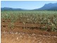 Bartle Frere QLD 4861