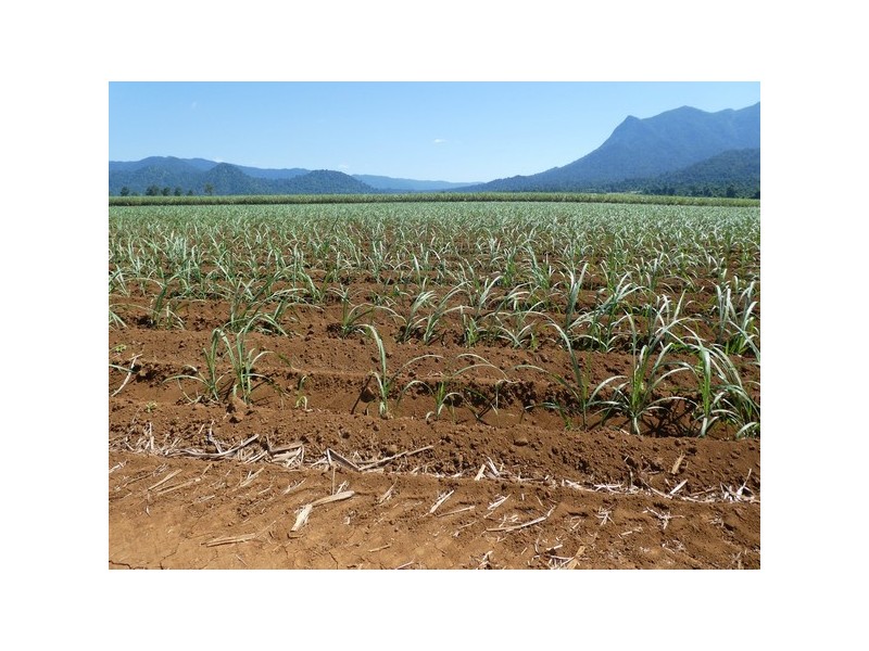 Bartle Frere QLD 4861