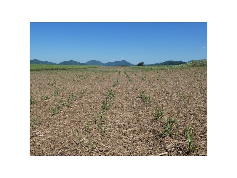Bartle Frere QLD 4861