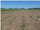 Bartle Frere QLD 4861