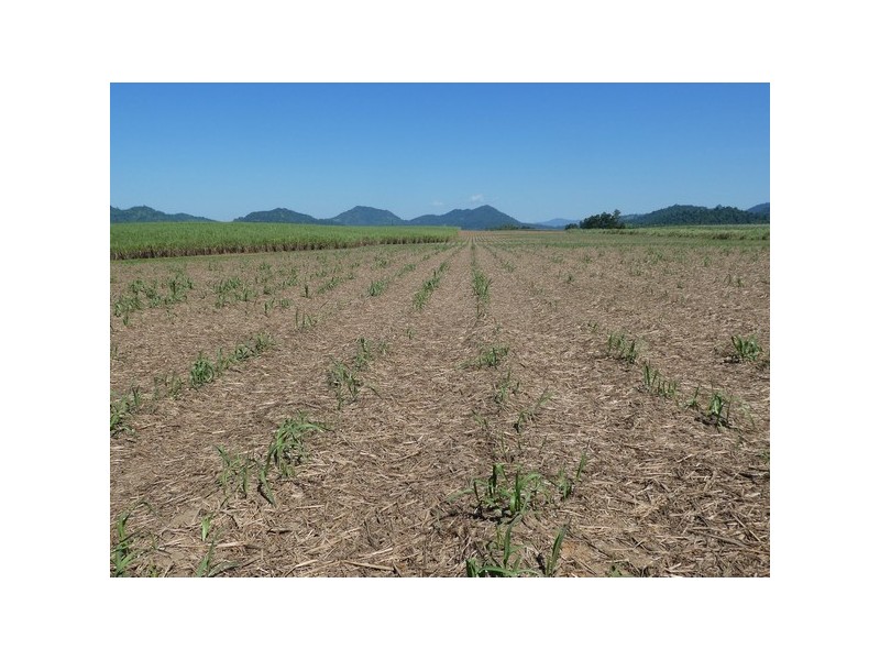 Bartle Frere QLD 4861