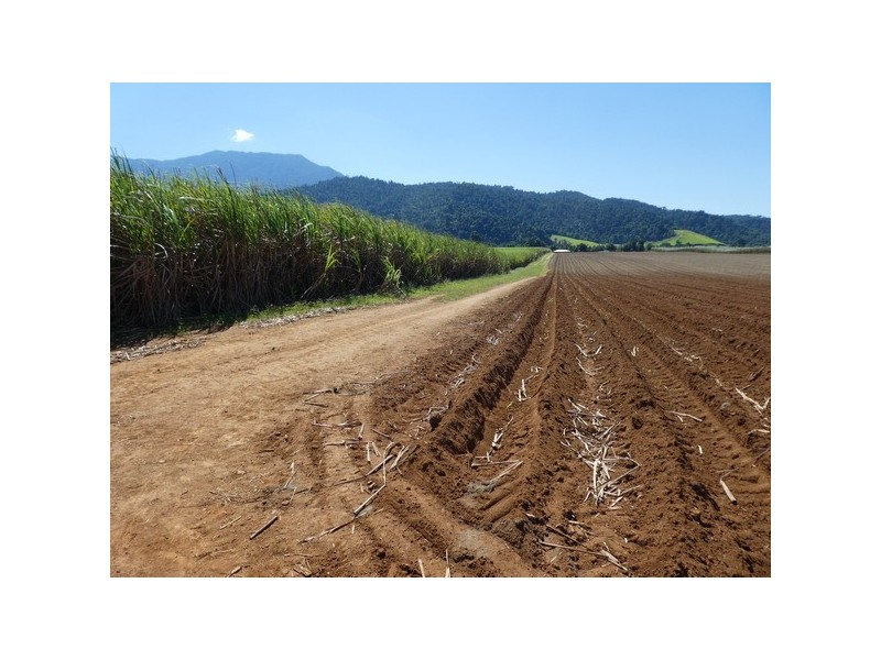 Bartle Frere QLD 4861