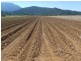 Bartle Frere QLD 4861