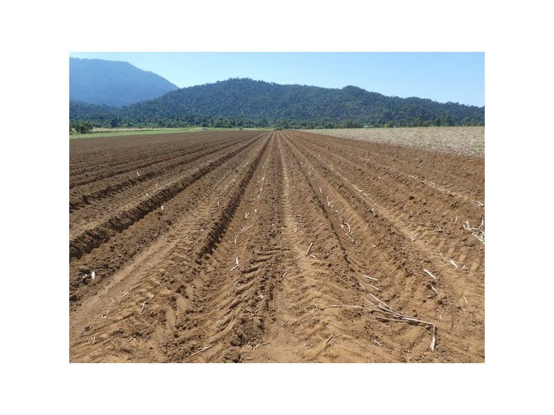 Bartle Frere QLD 4861