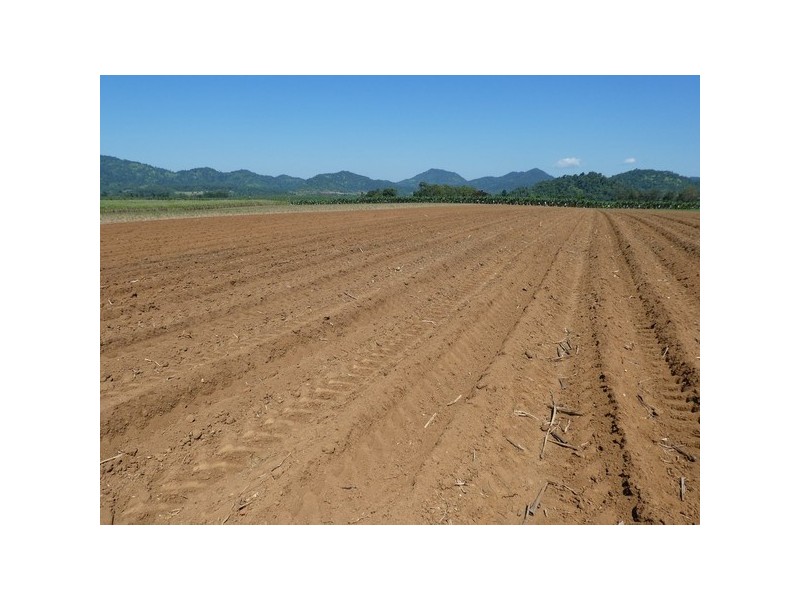 Bartle Frere QLD 4861