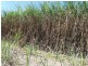 Bartle Frere QLD 4861